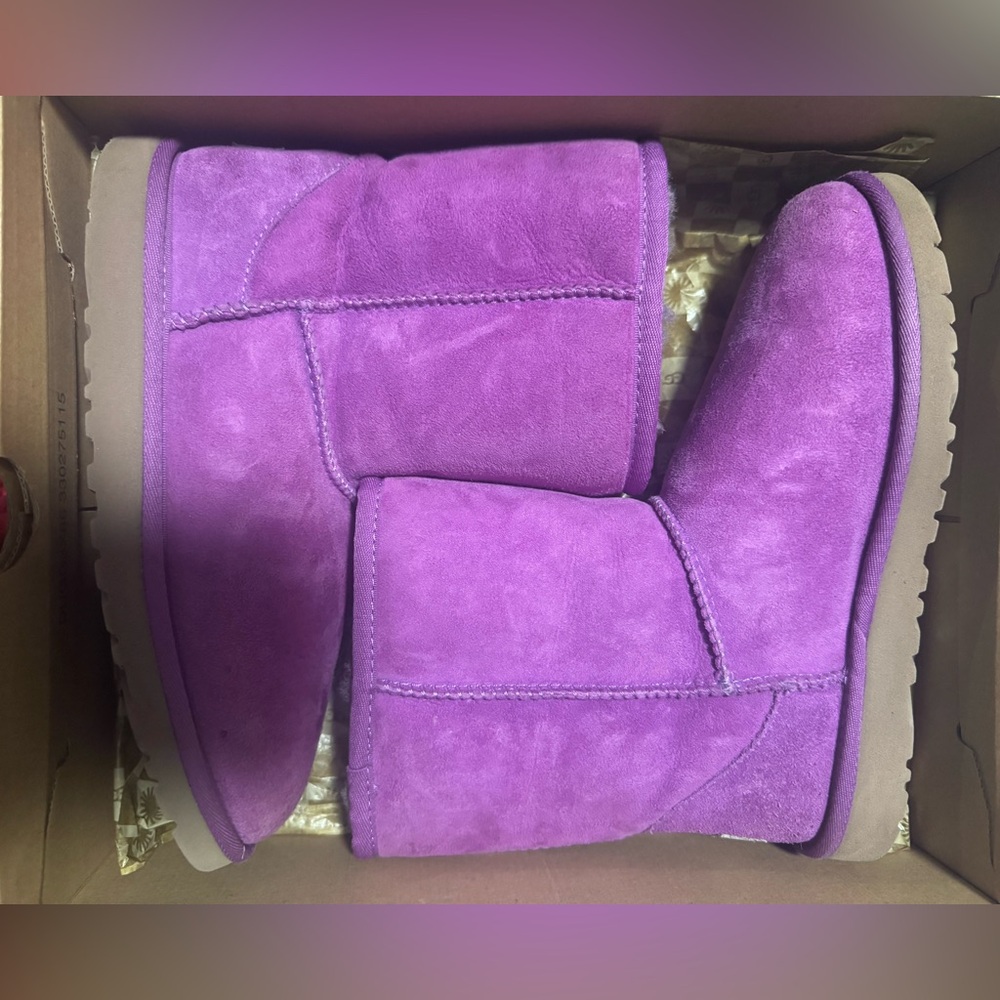 Fuchsia Classic Uggs